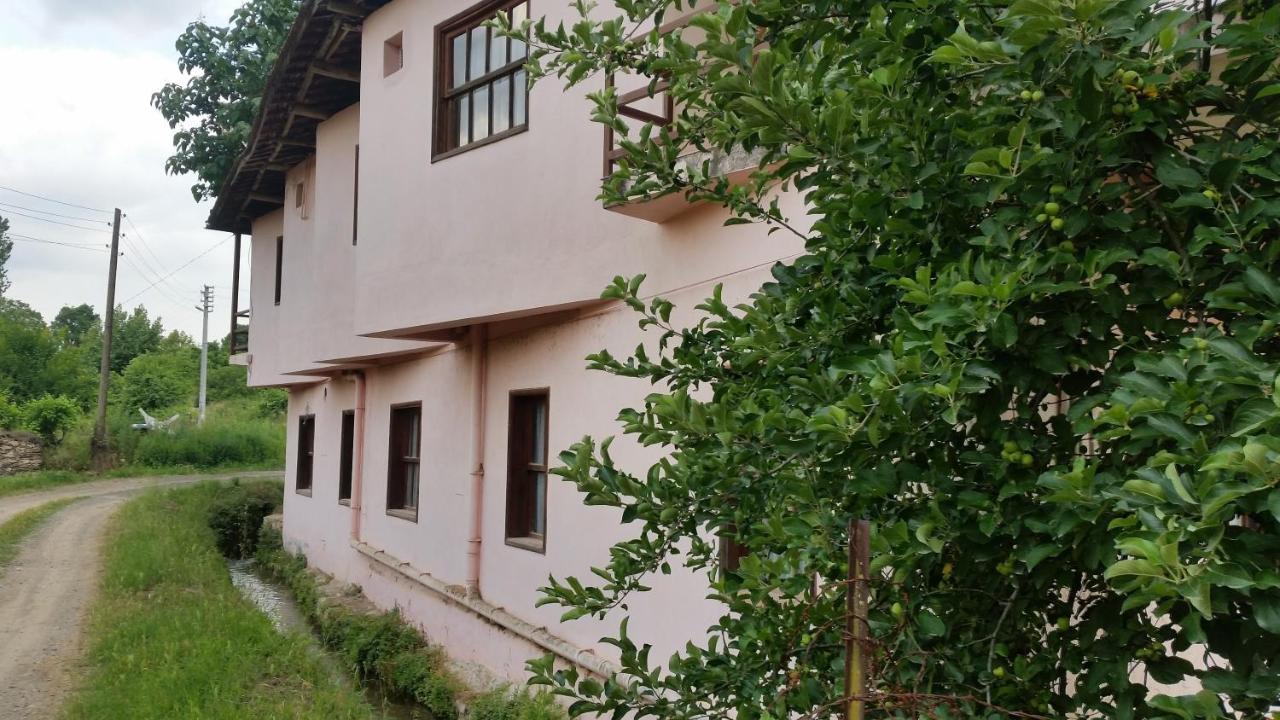 Elmas Pansiyon Karacasu  Esterno foto